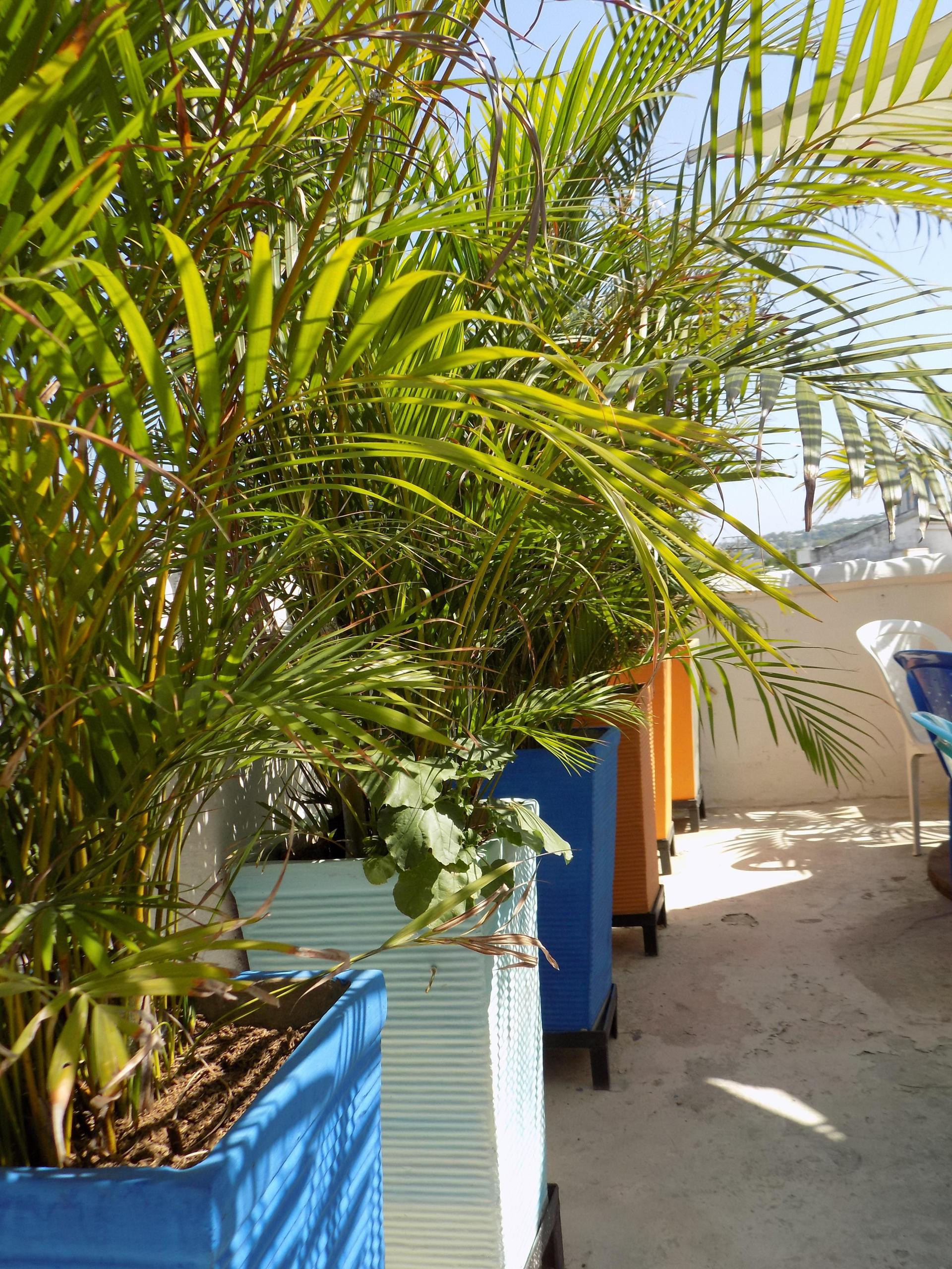 Varios Hostal Caracoles