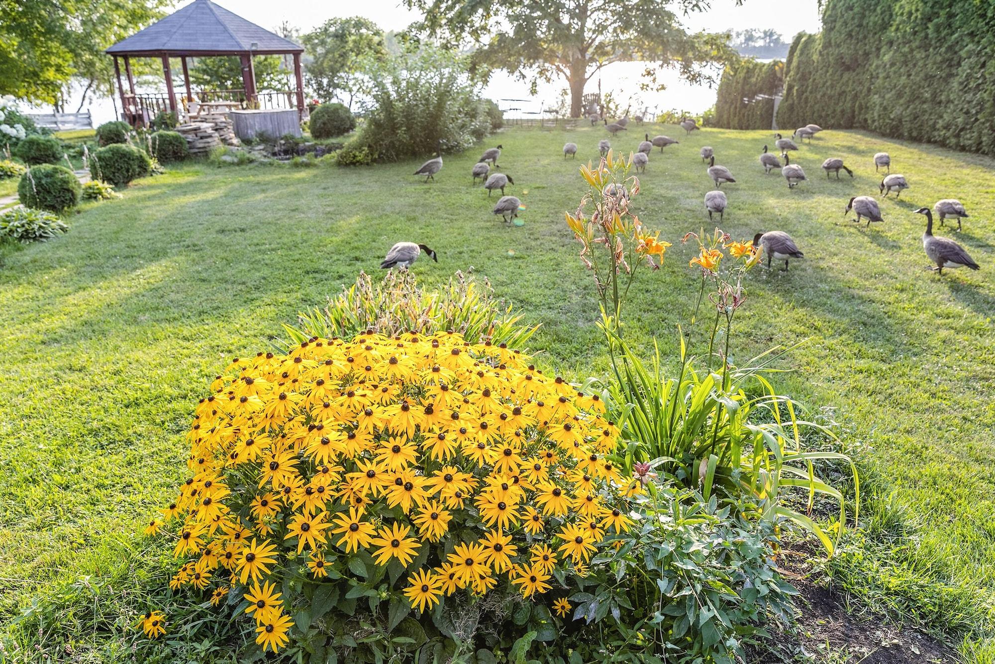 Vista Exterior Motel Rideau