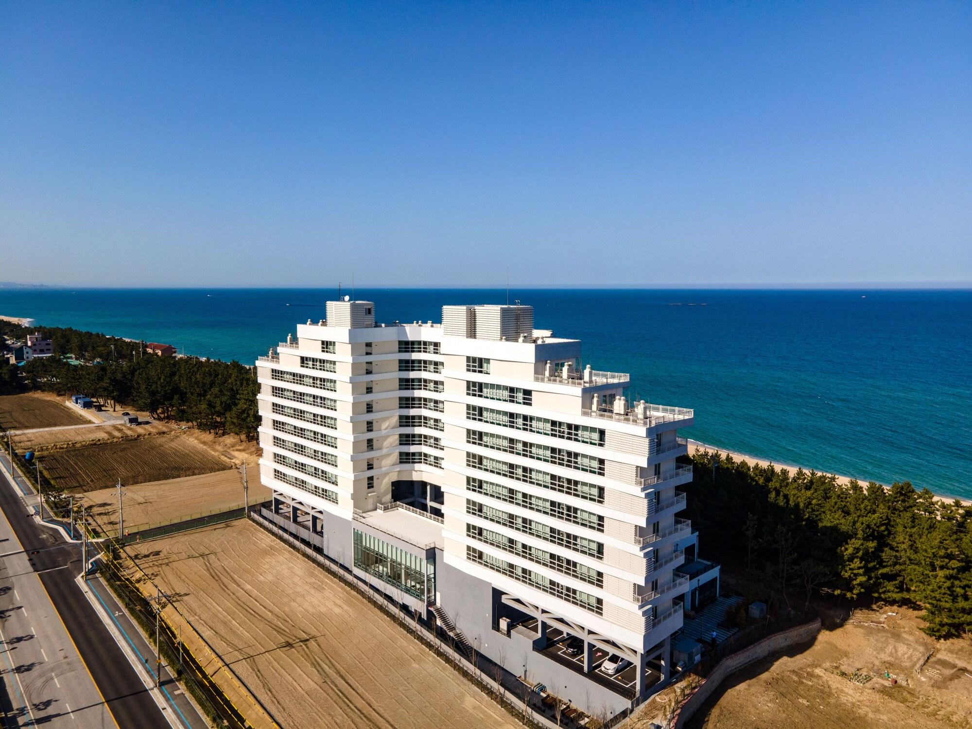 Varios PINEART LABEL