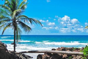 Passagem - Voos para Ilhéus