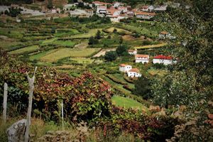 Alquiler Vacacional - Cantador do Cantador 1 - Very cozy corner in the Alto Minho! ...