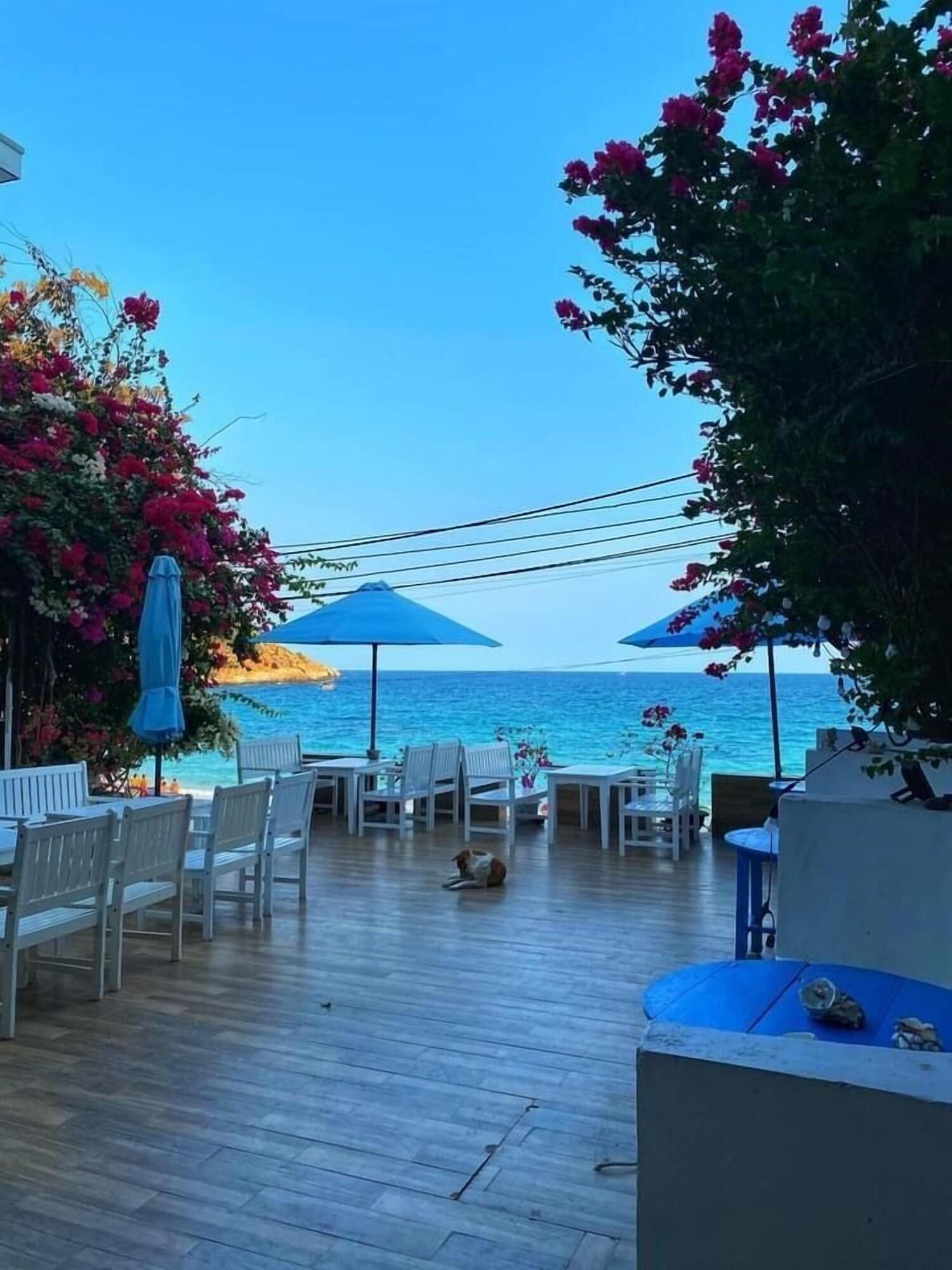 Vista Lobby Blue Anchor Lodge & Cafe-Binh Ba Island