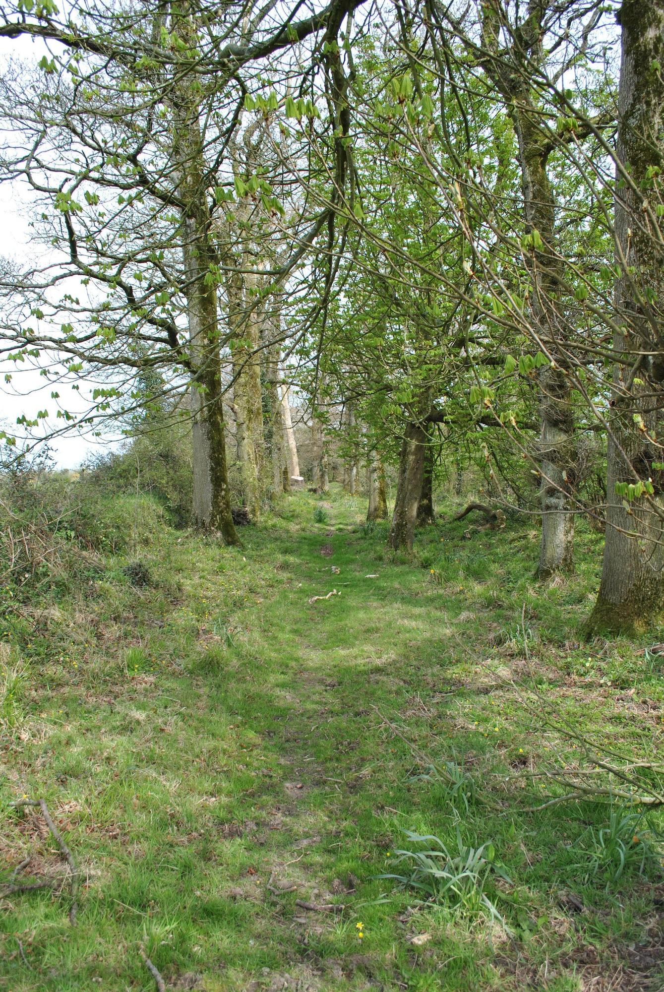 Vista Exterior Killiane Castle Country House & Farm