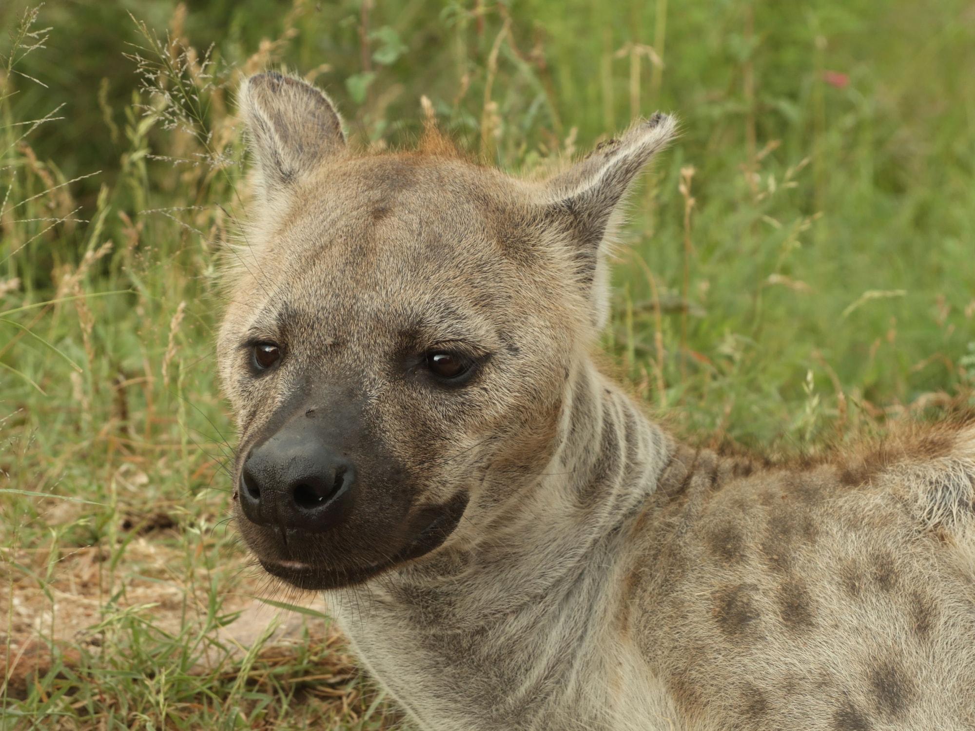 Instalaciones Recreativas Kruger Park Tours