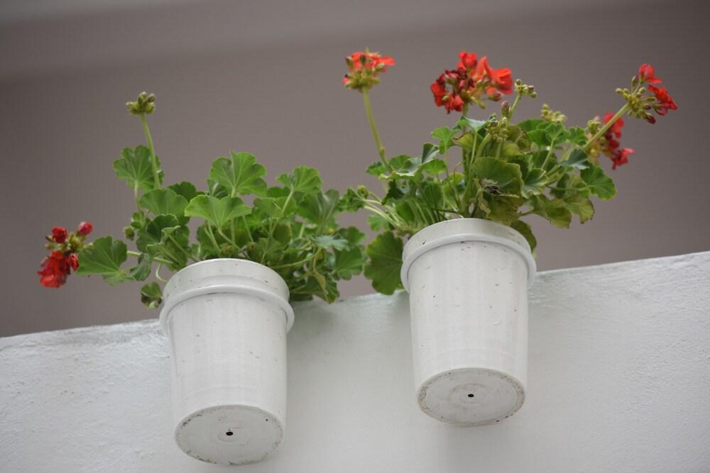 Hotel OM 686 Urban Lofts