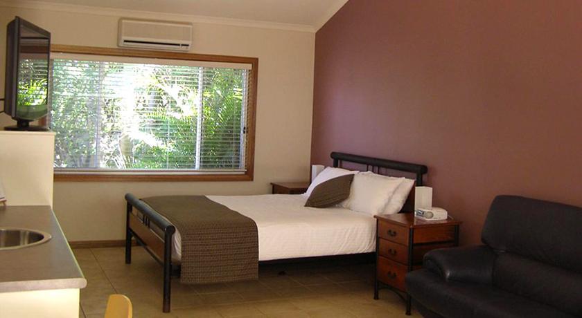 Variados (as) Koala Tree Motel