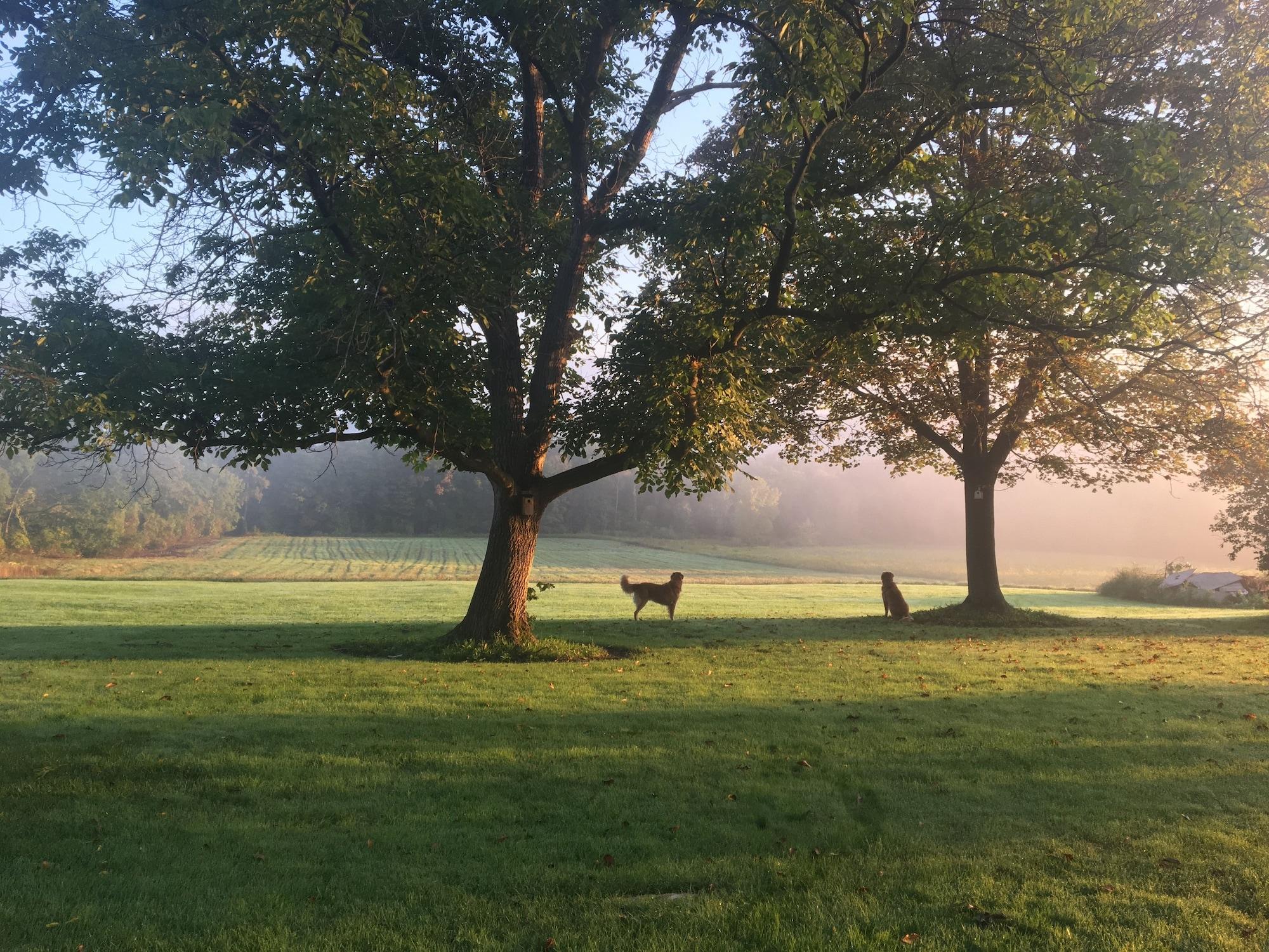 Vista Exterior Enfield Manor