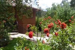 Alojamiento - SOL INN