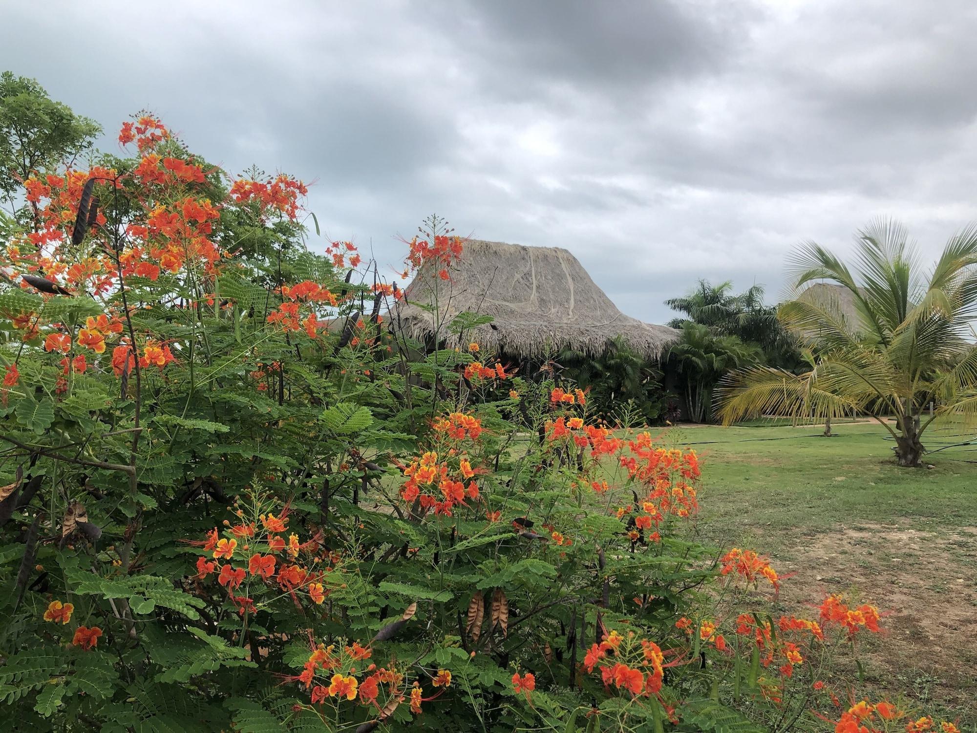 Equipamiento de Habitación TERRITORIO MAGICO