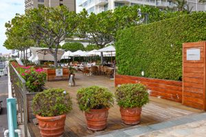 Alojamiento - Hilton Vacation Club The Modern Honolulu