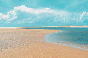 Actividad - Playa del Saco