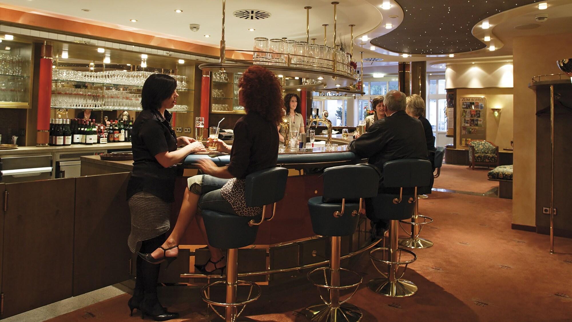 Bar/Salón Hotel Zum Schiff