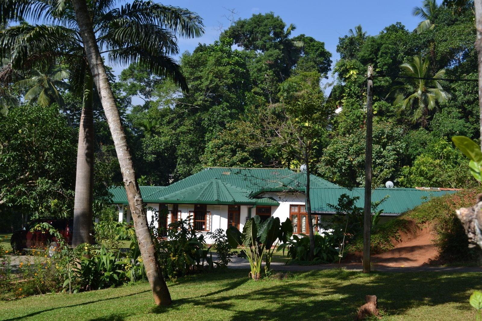 Vista Exterior Sweet Cinnamon Kandy