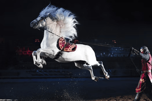 Actividad - Tiempos medievales - Orlando