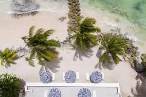 Alojamiento - The Royal Bliss Barbados