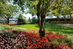 Alojamiento - Radisson Blu Vancouver Airport Hotel & Marina
