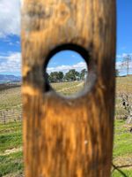 Alojamiento - Quinta Da Estrada Winery Douro Valley