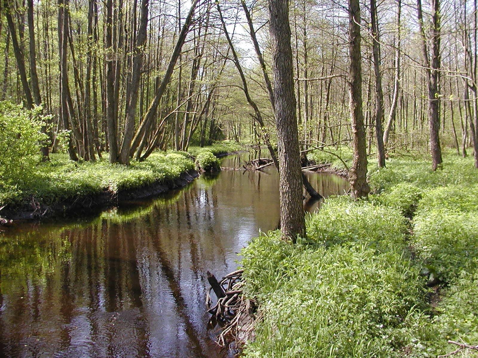 Vista Exterior Annas Hotell
