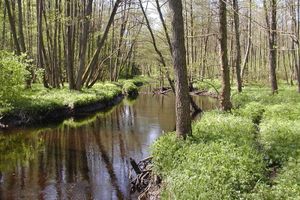 Alojamiento - Annas Hotell