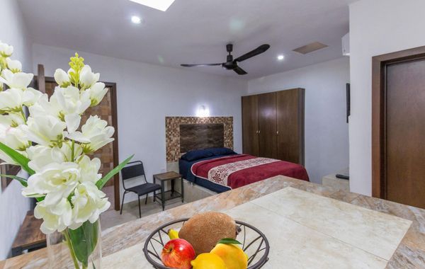 Explora y aventurate en Mérida