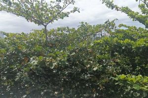 Alquiler Vacacional - Flat TOP pra homeoffice internet voando