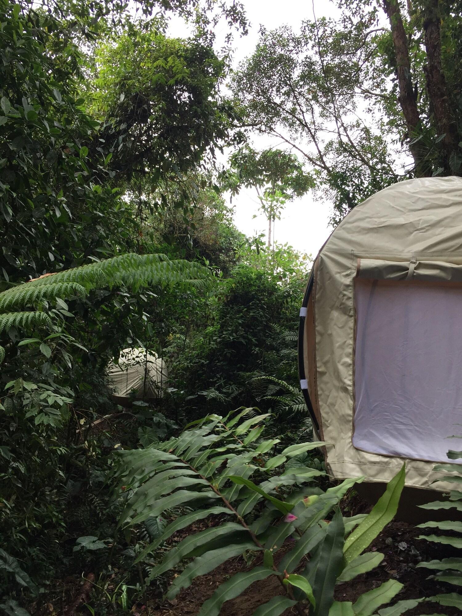 Vista Exterior Mot Mot Glamping