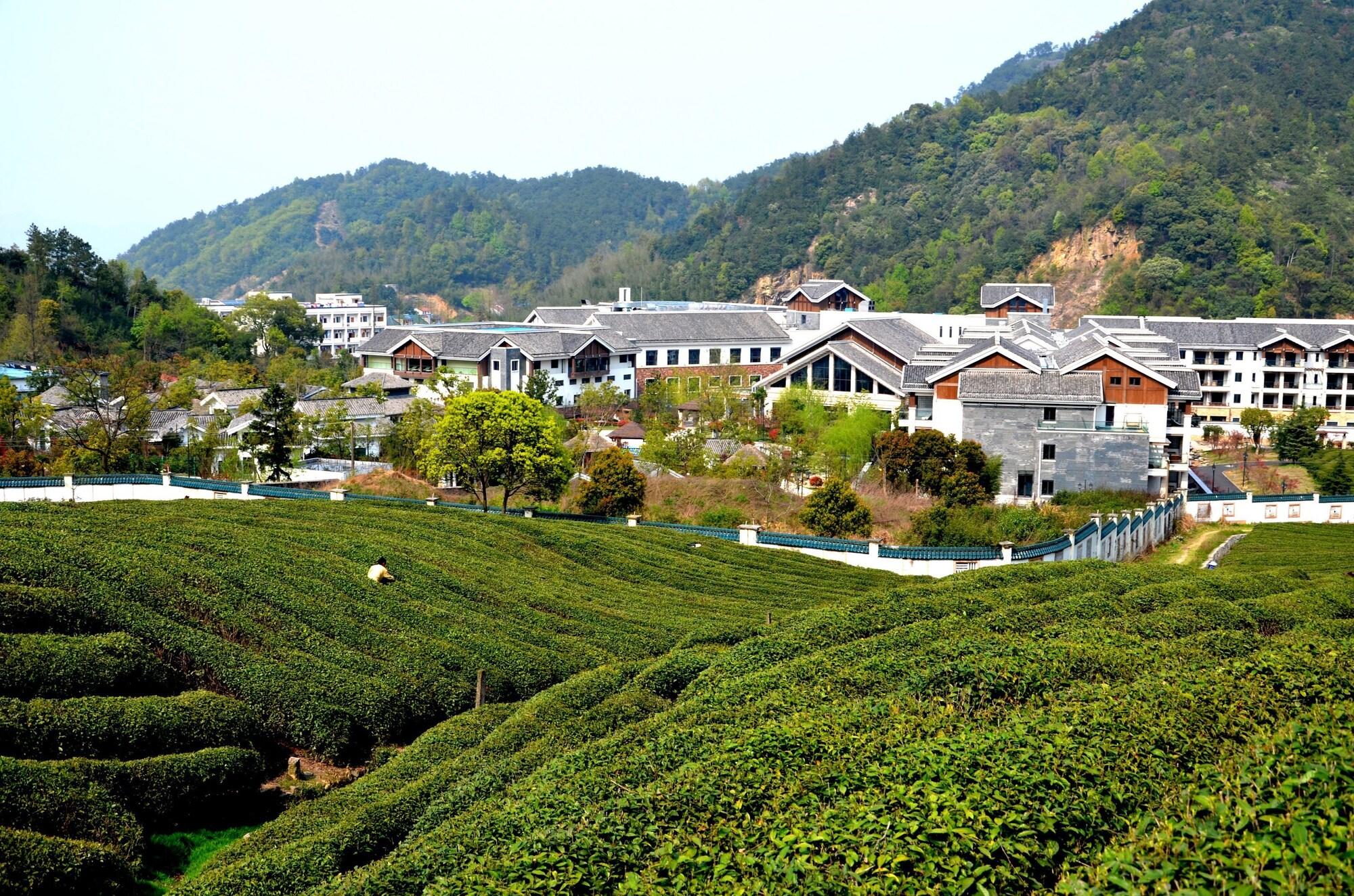 Vista Exterior Yangming Springs and Spa Resort