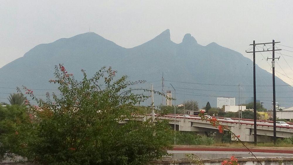Equipamiento de Habitación VAMONOS a Monterrey