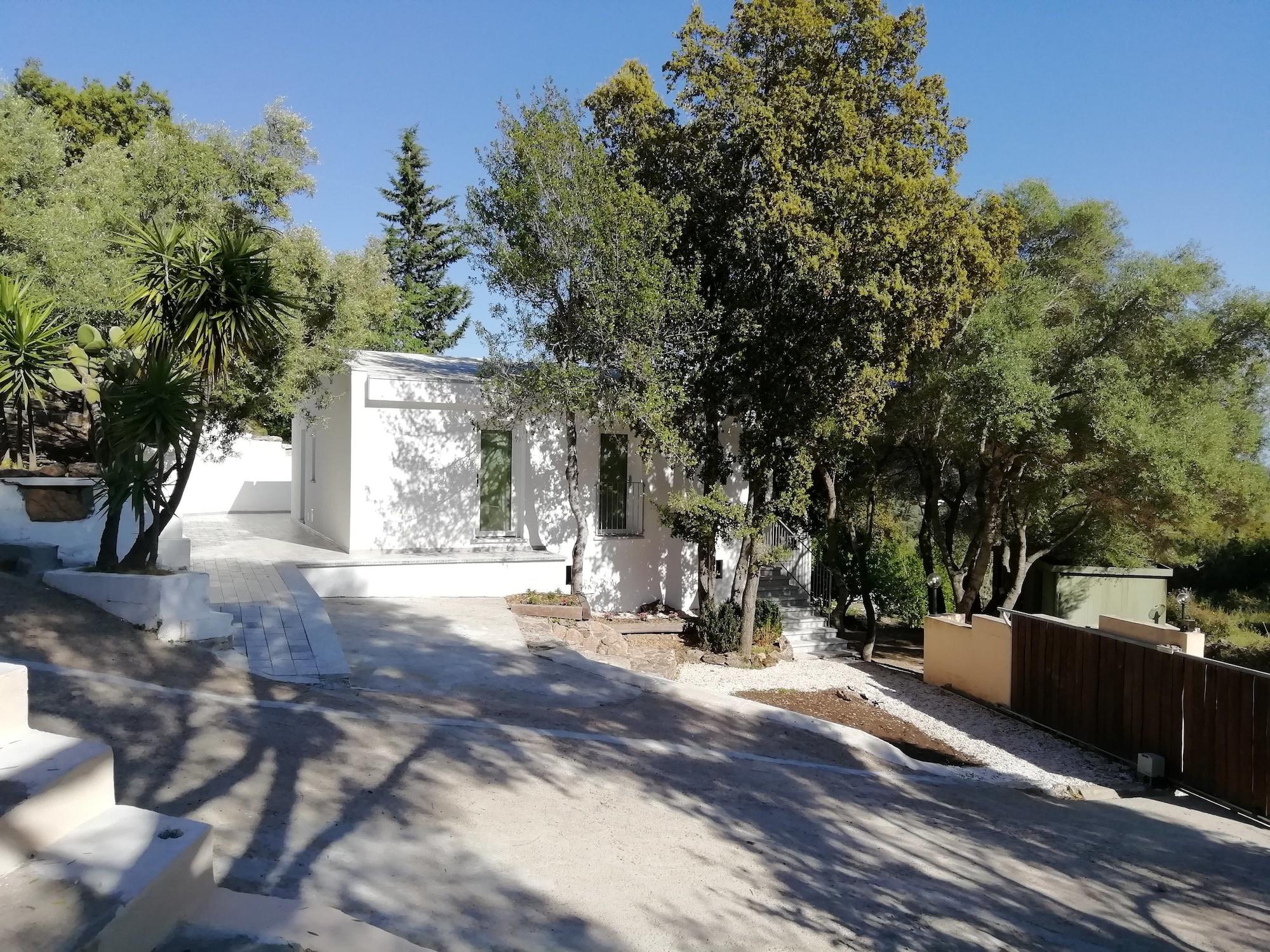 Varios In Campagna da Nino