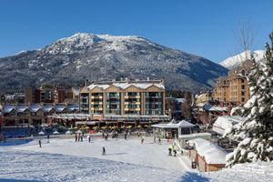 Alojamiento - Gibbons Life Accommodations