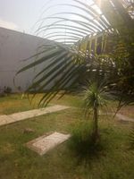 Alojamiento - Hotel Bungalows del Río