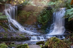 Actividad - Mount Field and Derwent Valley Tasting Tour