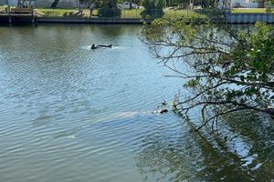 Alquiler Vacacional - Bamboo Bungalow - cozy waterfront studio near the beach