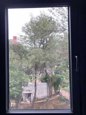 Hotel Flamencos Centro Histórico - Hoteles cerca de Autódromo en Ciudad de México