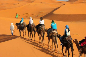 Actividad - 3 días en el desierto desde Marrakech a las dunas de Merzouga