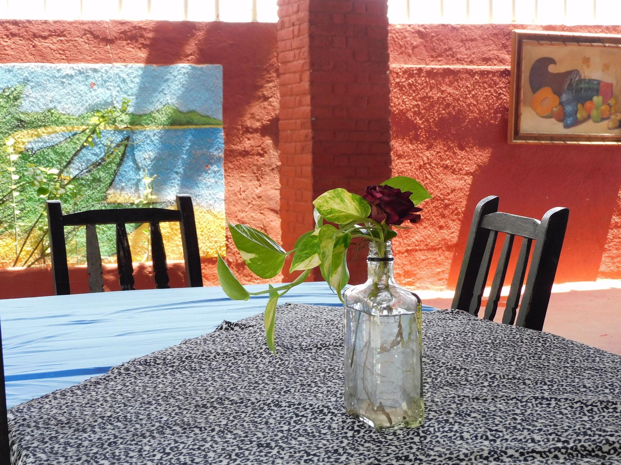 Hotel Hotel Temazcal Spa Coquis By Rotamundos