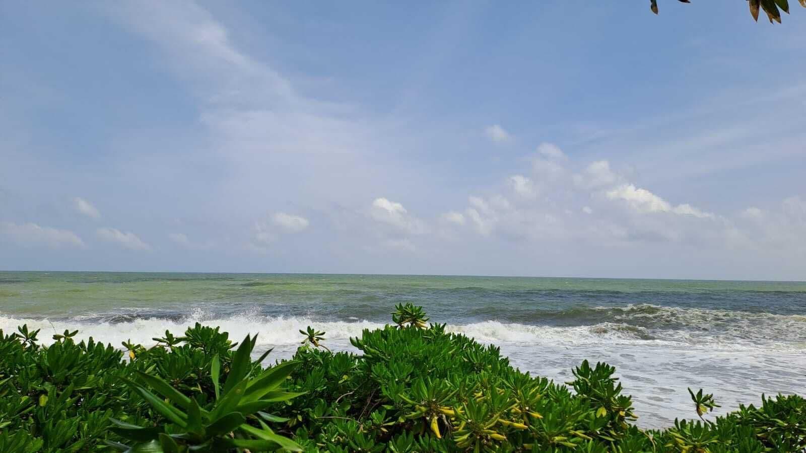 Vista Exterior Mario Ocean View