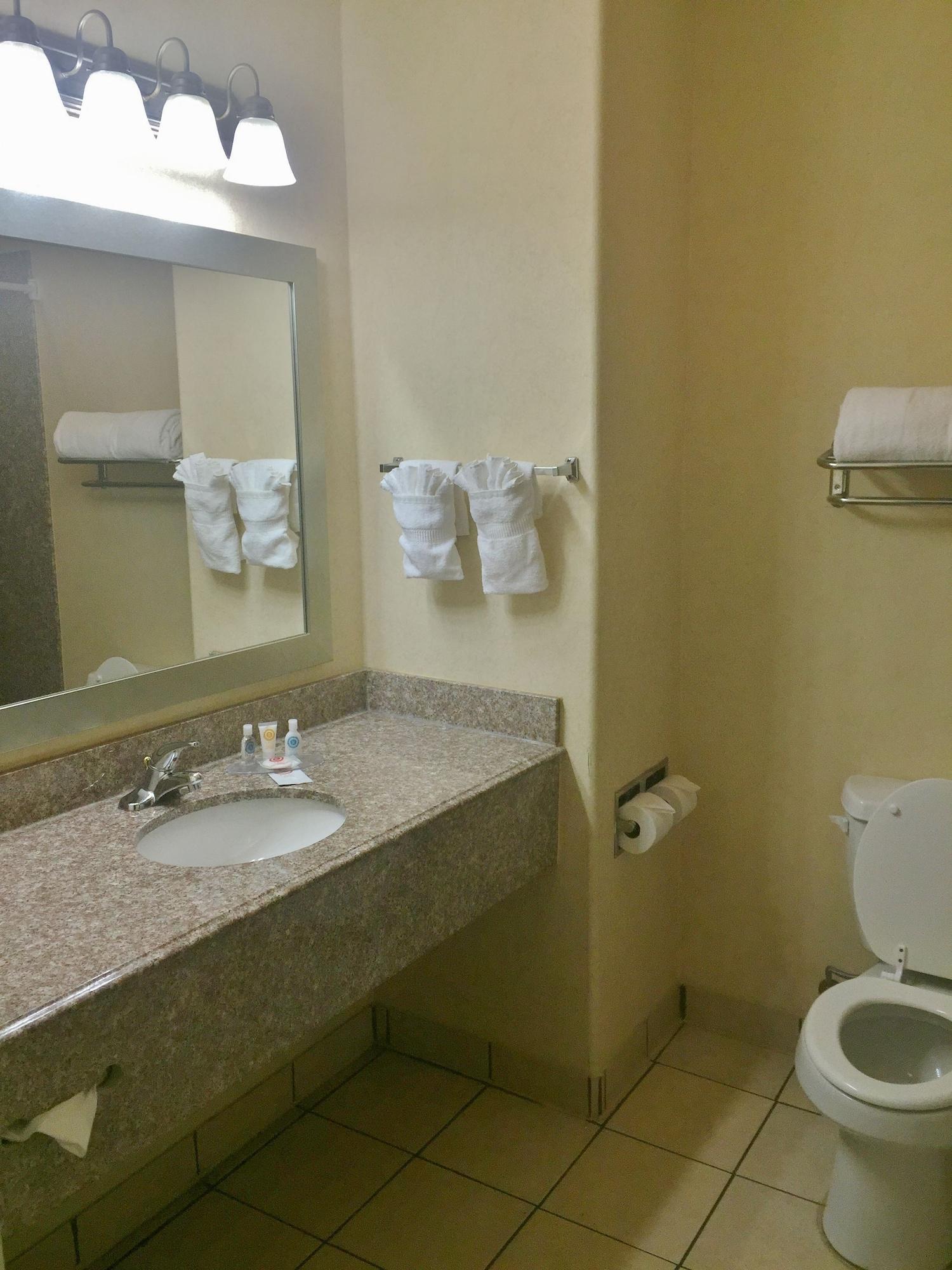 Equipamiento de Habitación Comfort Inn Marrero - New Orleans West