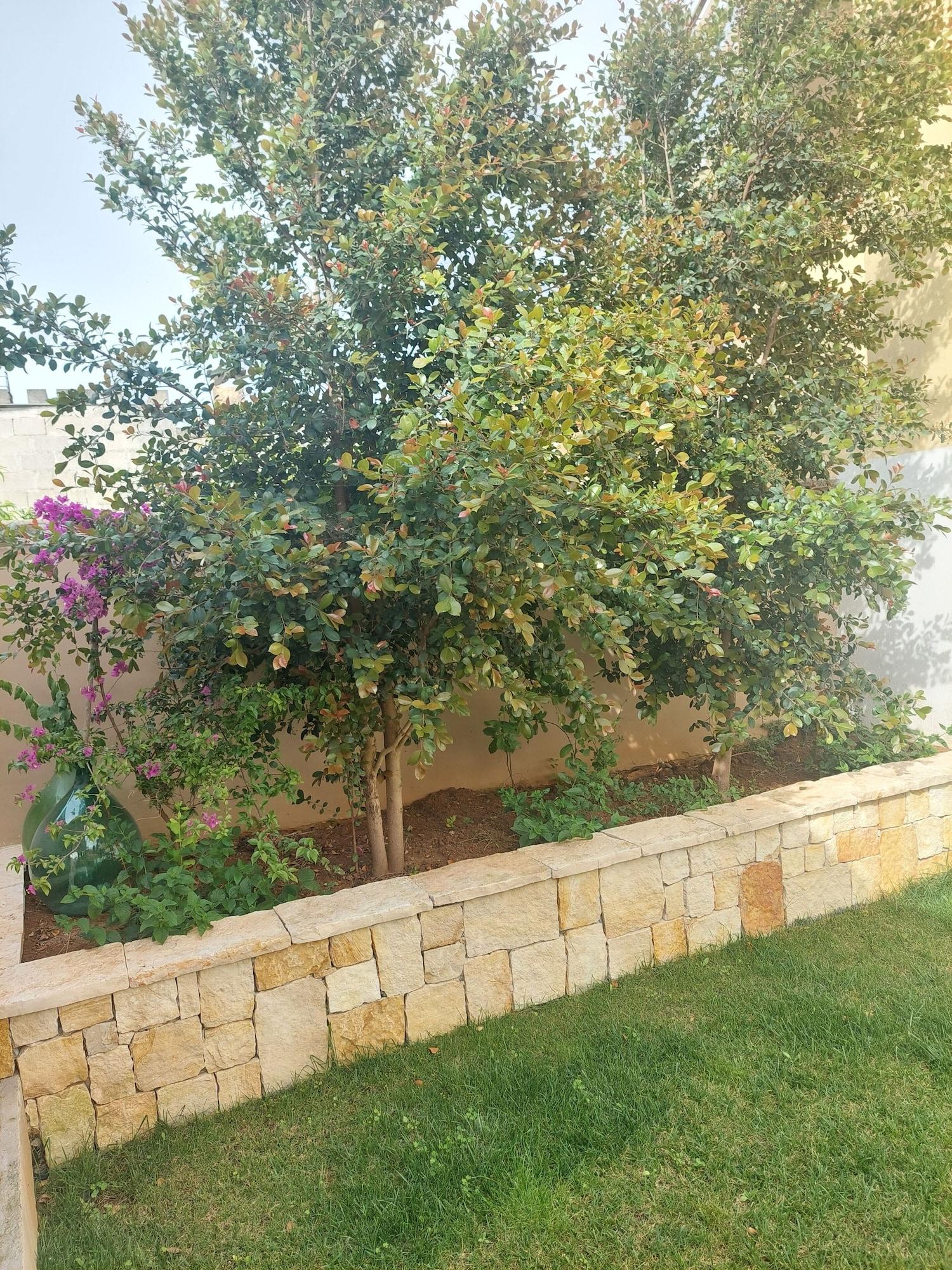 Varios B&B Sara