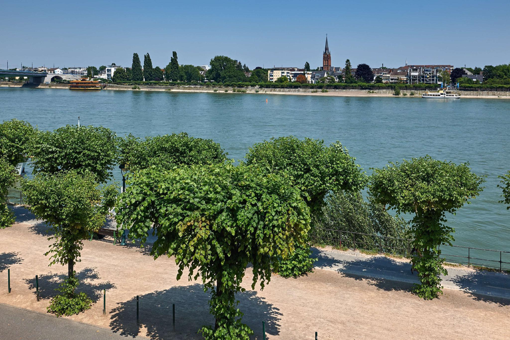 Vista Exterior Dorint Hotel Bonn