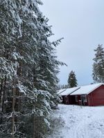 Alojamiento - Hotell Moskogen