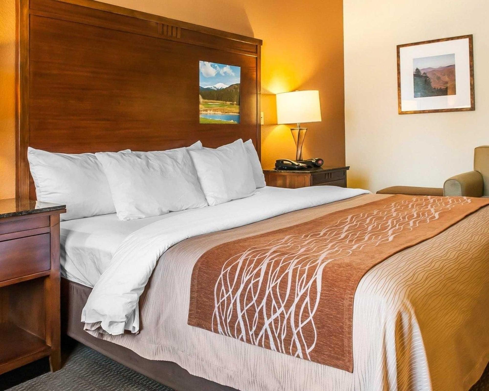 Habitación Comfort Inn & Suites Midtown