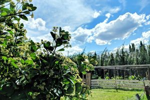 Alquiler Vacacional - Rincón del Sur