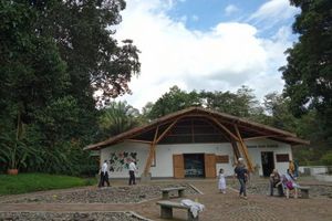 Actividad - Jardín Botánico del Quindío - Tour de medio día