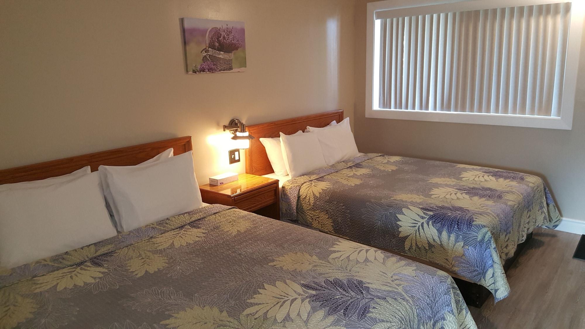 Habitación Blue Moon Motel