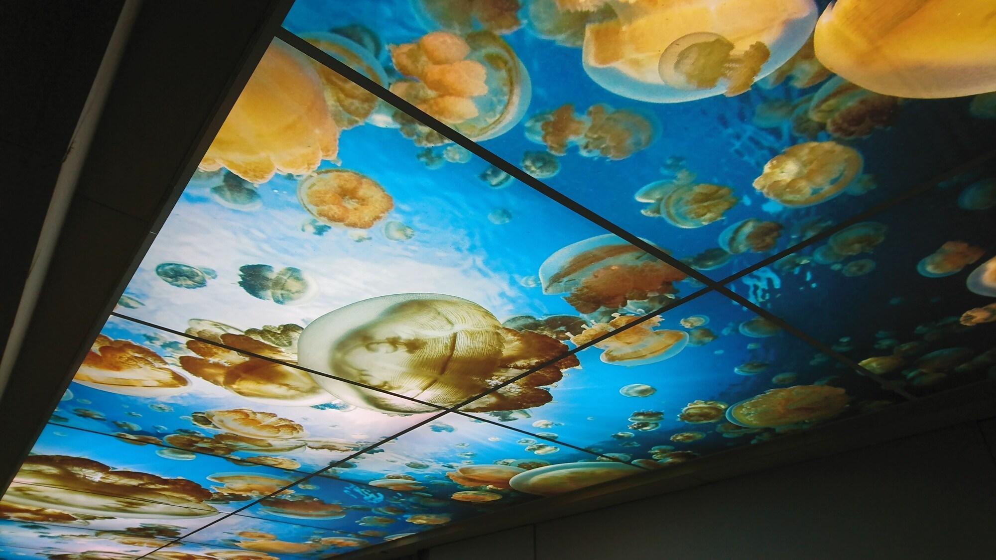 Vista Lobby Palau Hotel