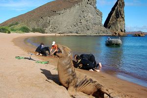 Actividad - Isla Bartolome Tour Full Day - Desde Santa Cruz