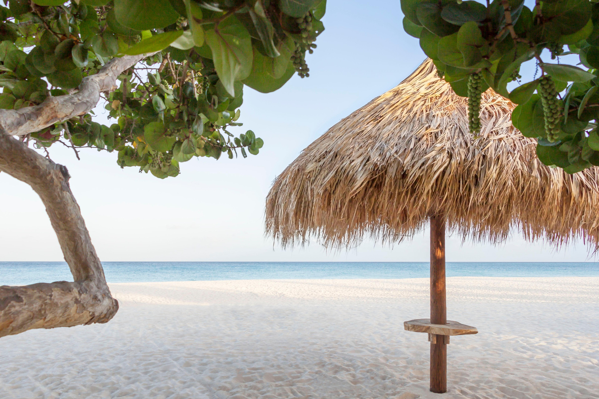 Playa Manchebo Beach Resort & Spa