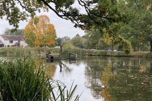 Alojamiento - Orchard Side Bed and Breakfast