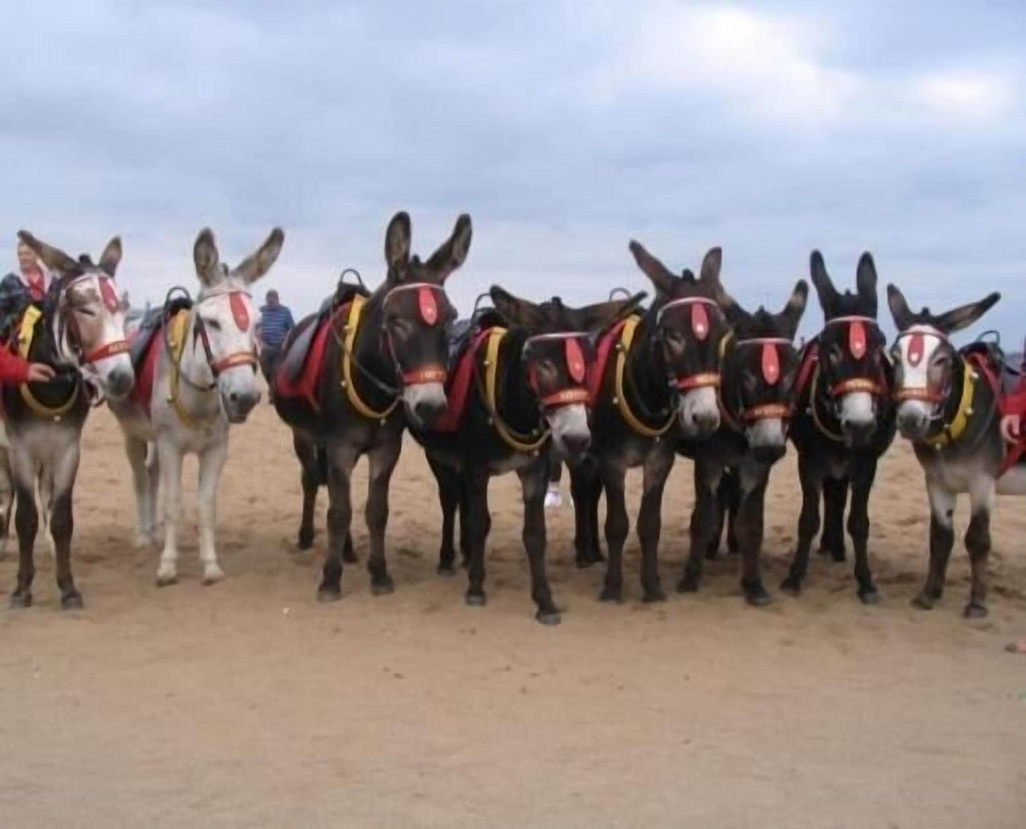 Gimnasio The Sherwood